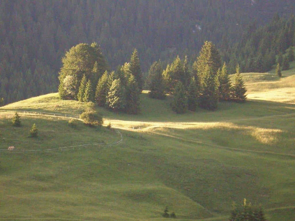Hotel Alpenhof "Alt Laehn" Exteriér fotografie